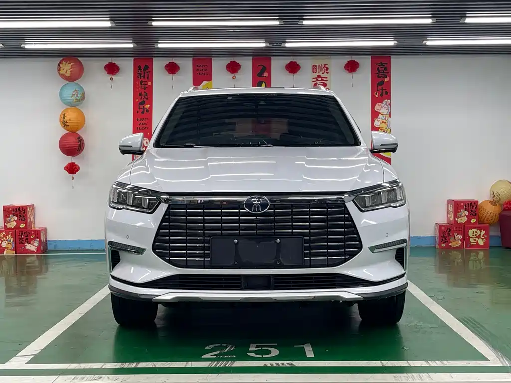 BYD Pro New Energy — миниатюра 2