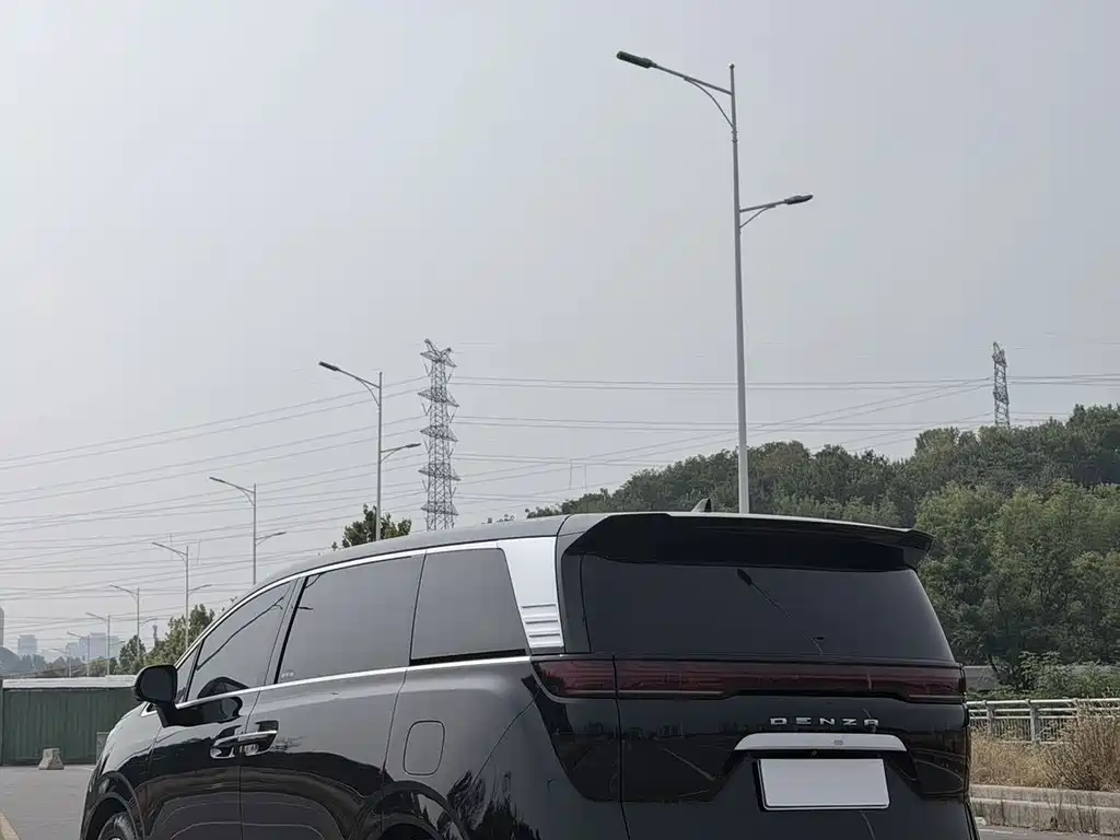 Denza Denza D9 — миниатюра 9