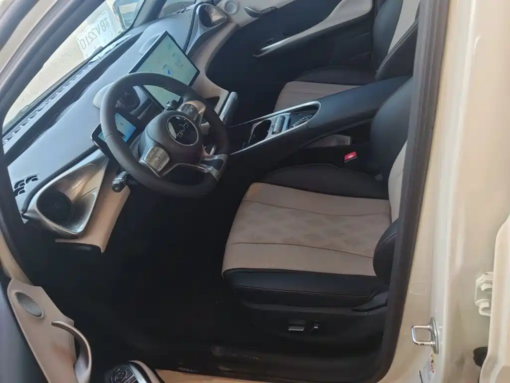 BYD Dolphin — миниатюра 15