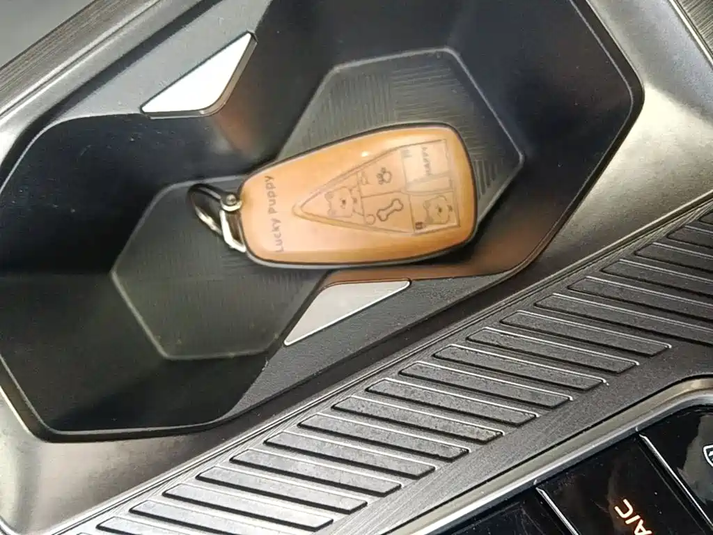 Oshan Oushang Z6 — миниатюра 9