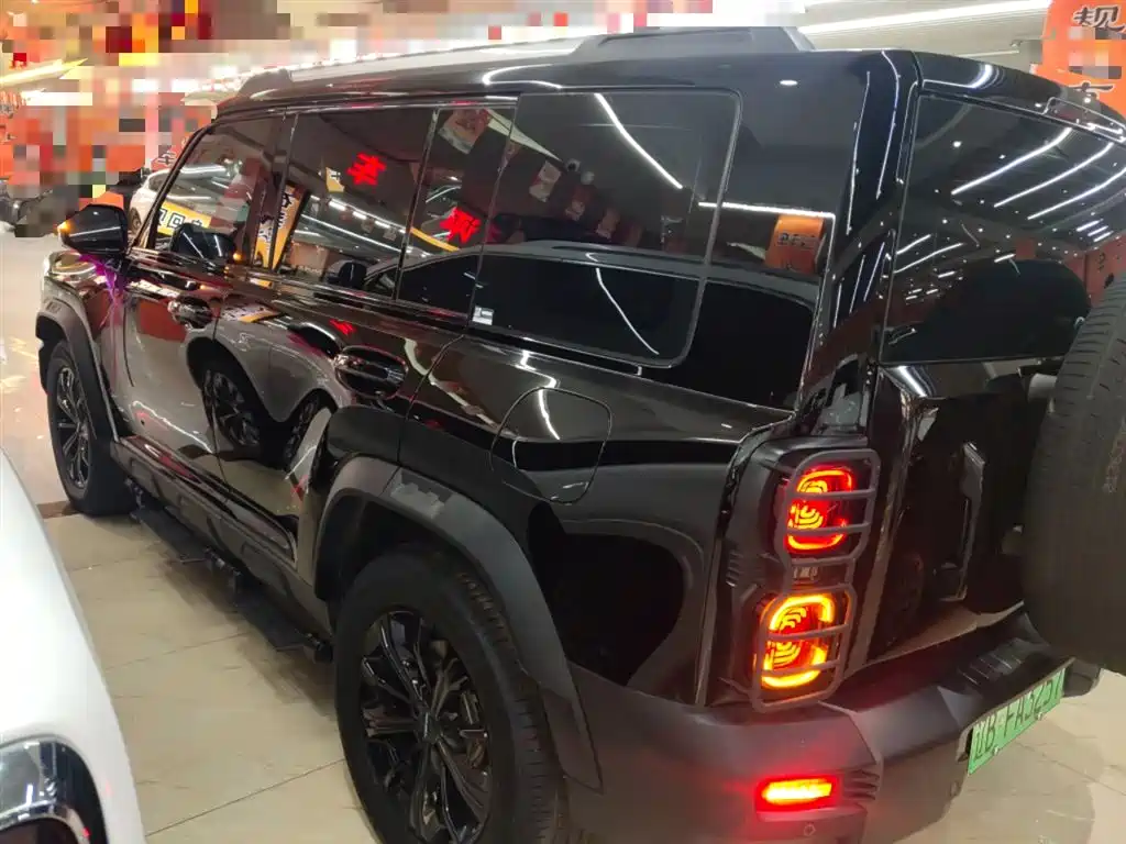 HAVAL  RAPTORS NEW ENERGY