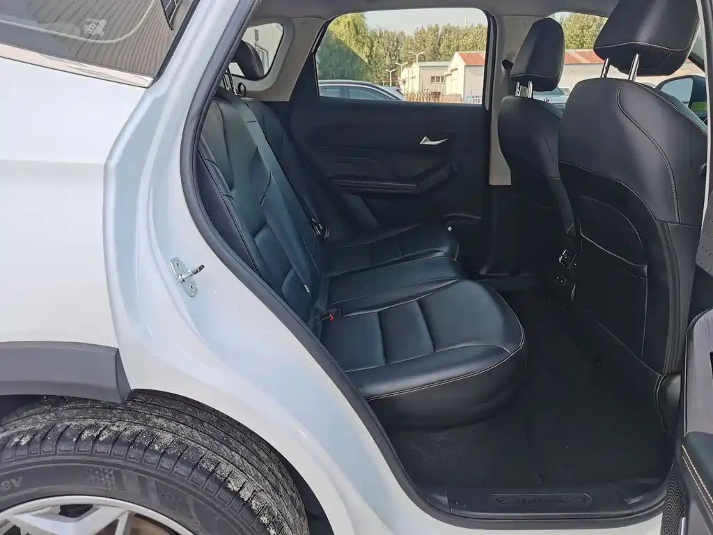 Haval Chitu — миниатюра 16