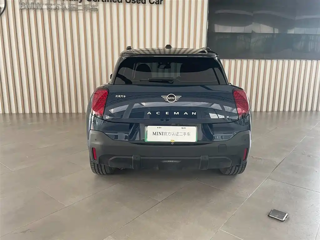 MINI MINI ACEMAN EV — миниатюра 5