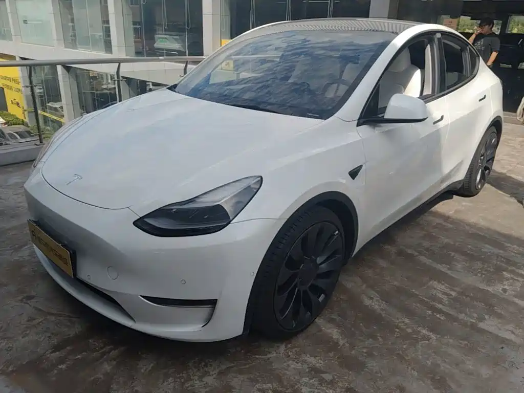 Tesla Model Y — миниатюра 2