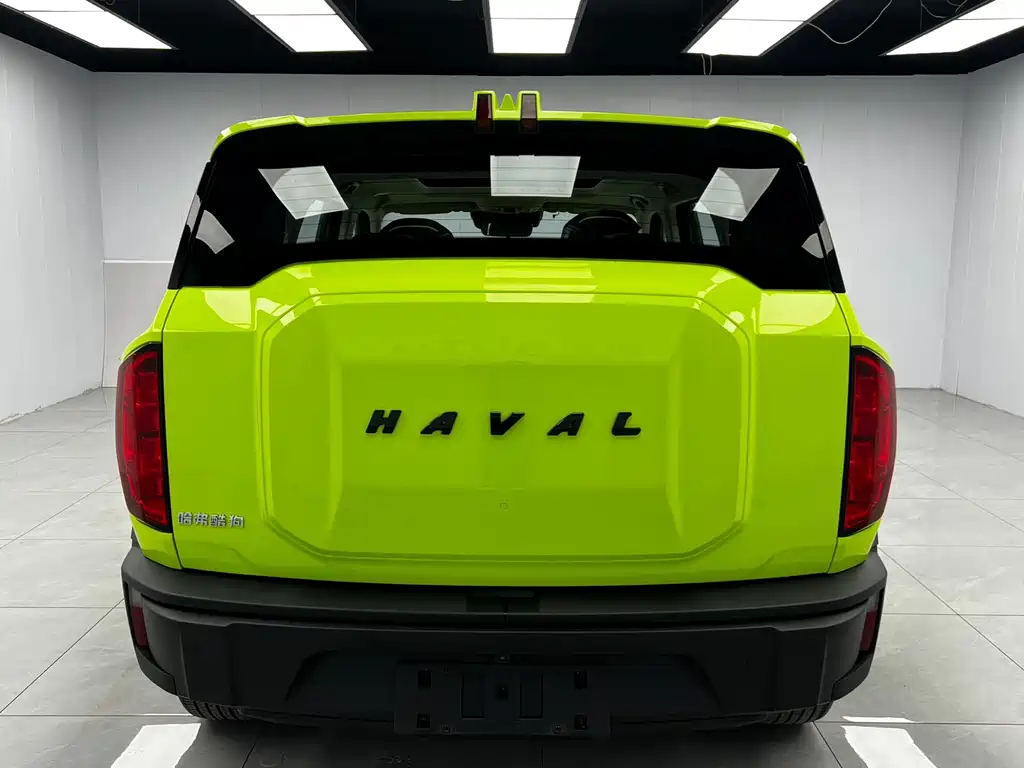 Haval Cool Dog — миниатюра 5