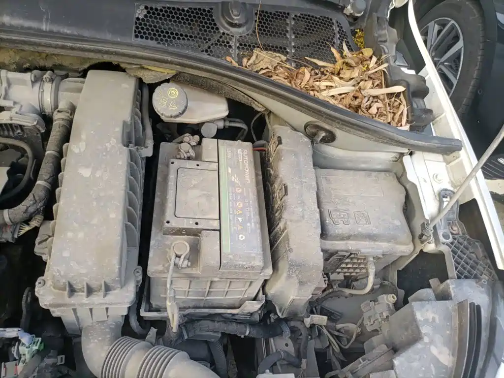 Citroen C3-XR — миниатюра 21