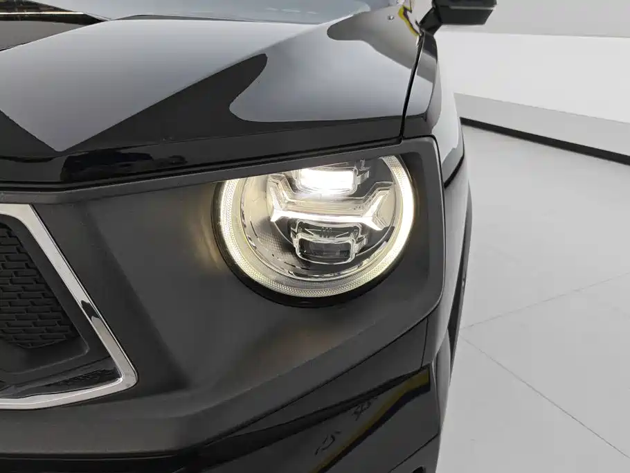 Haval Big Dog PLUS — миниатюра 5