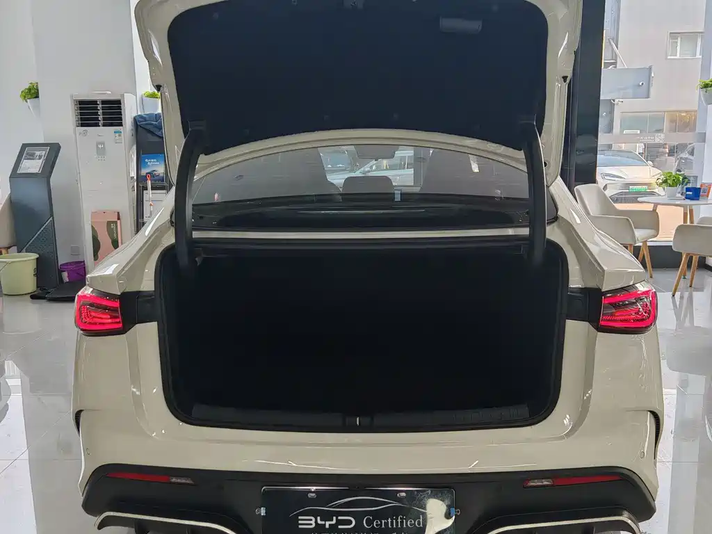 BYD Seal 06 — миниатюра 10