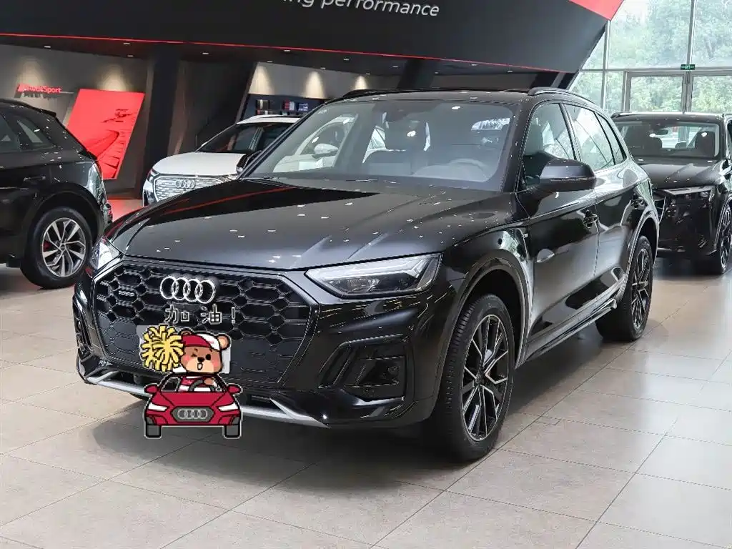 Audi Q5L 0