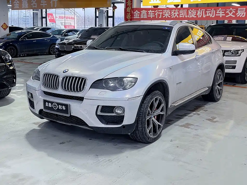 BMW X6 2013