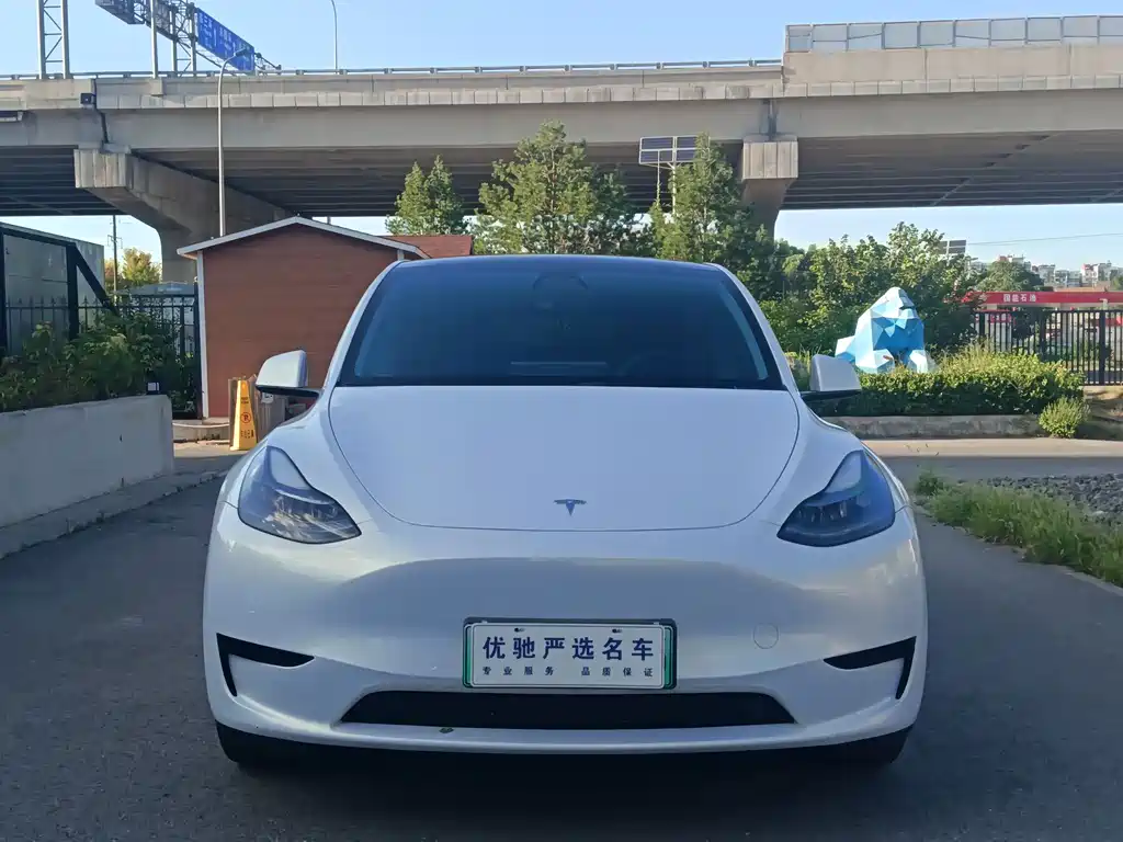 Tesla Model Y — миниатюра 2