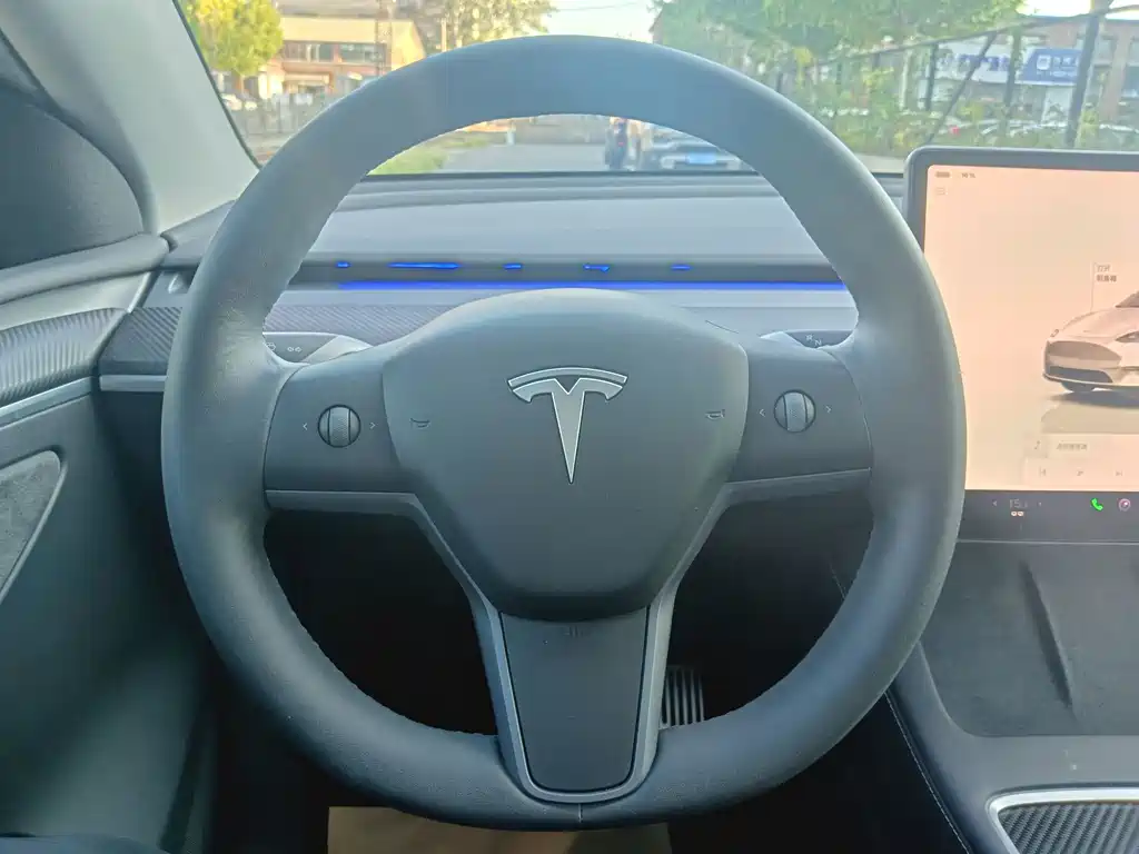 Tesla Model Y — миниатюра 18