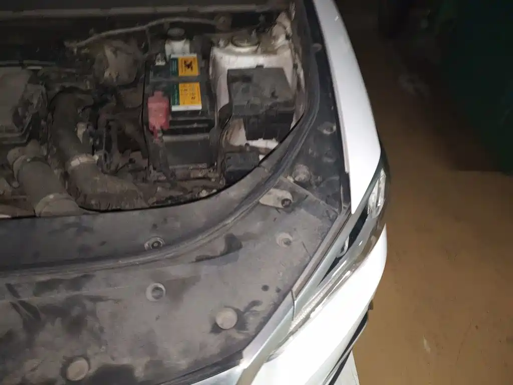 BYD Pro — миниатюра 21