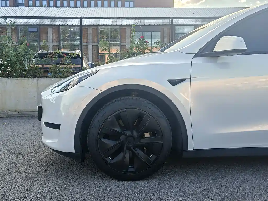 Tesla Model Y — миниатюра 4