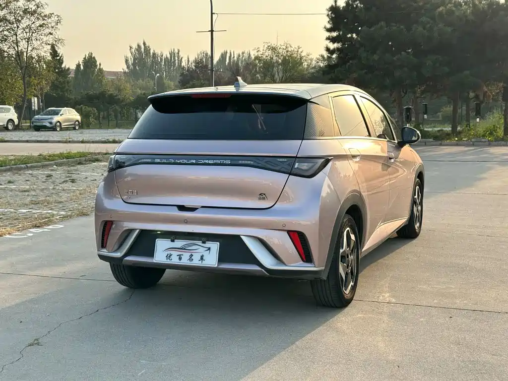 BYD Dolphin — миниатюра 6