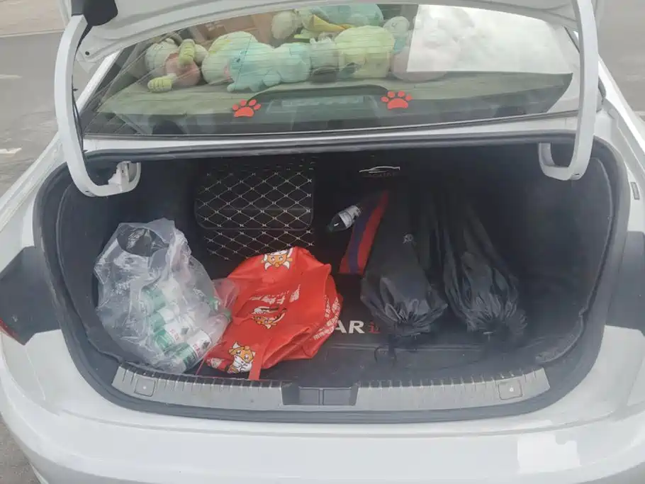 Volkswagen Sagitar — миниатюра 4