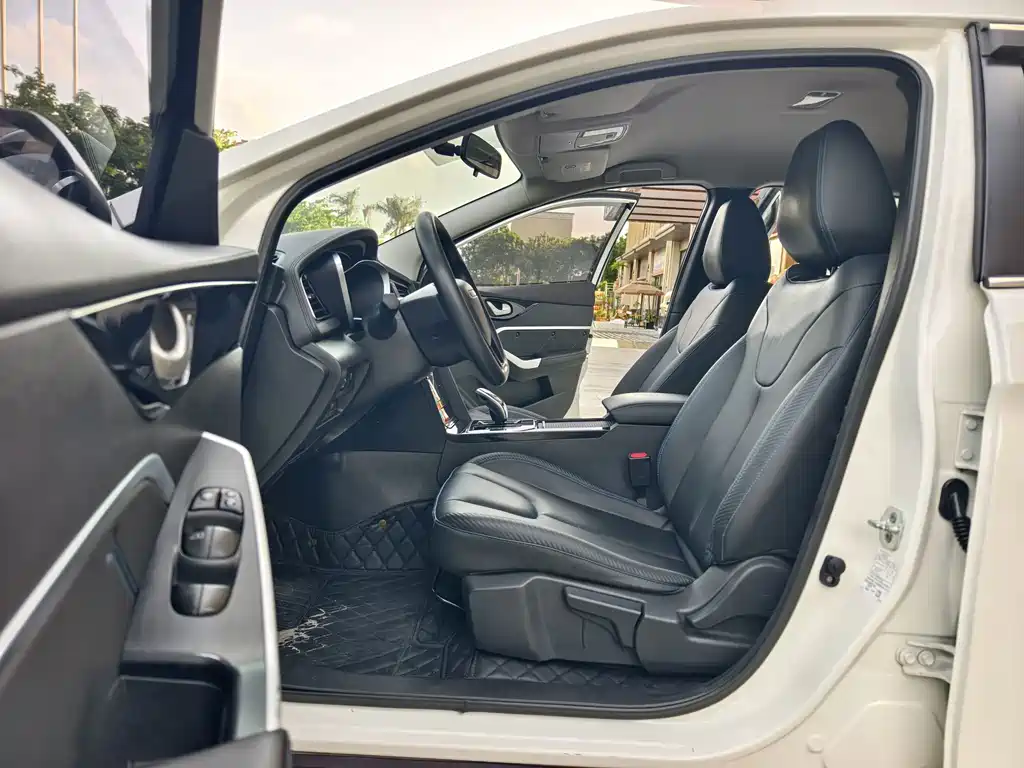 Venucia D60 EV — миниатюра 10
