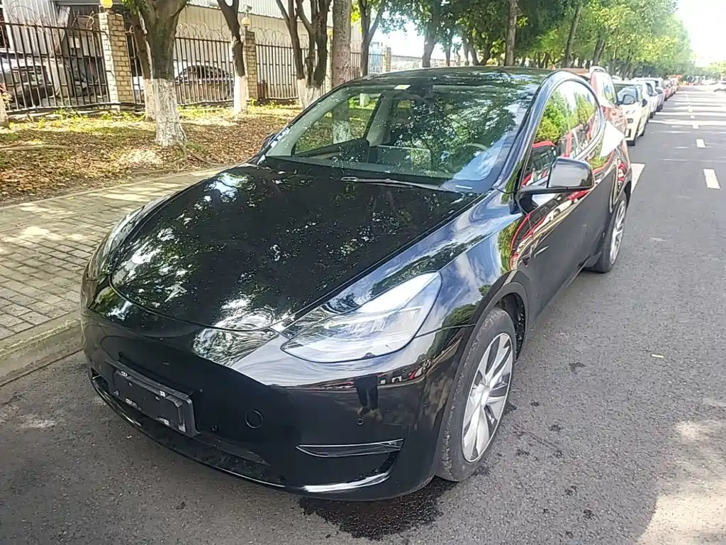 Tesla Model Y — миниатюра 2