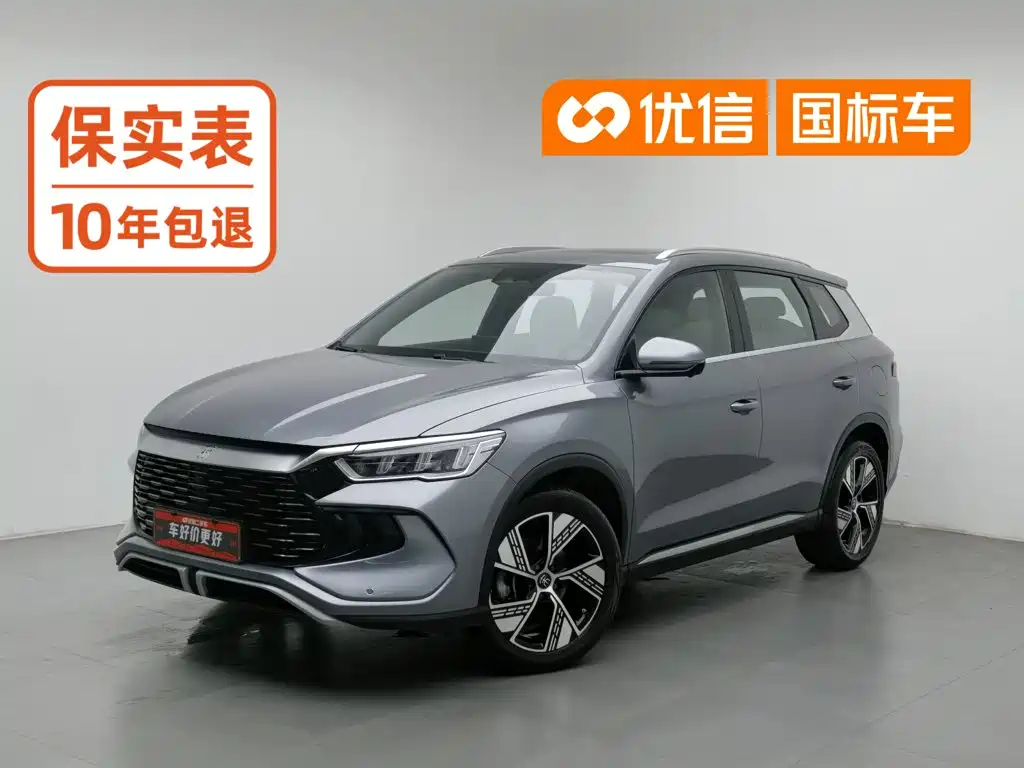 BYD Pro New Energy