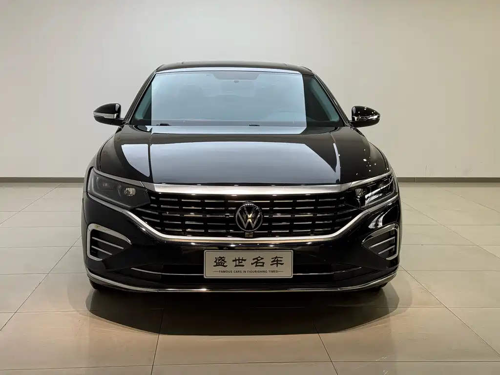 Volkswagen Passat — миниатюра 2