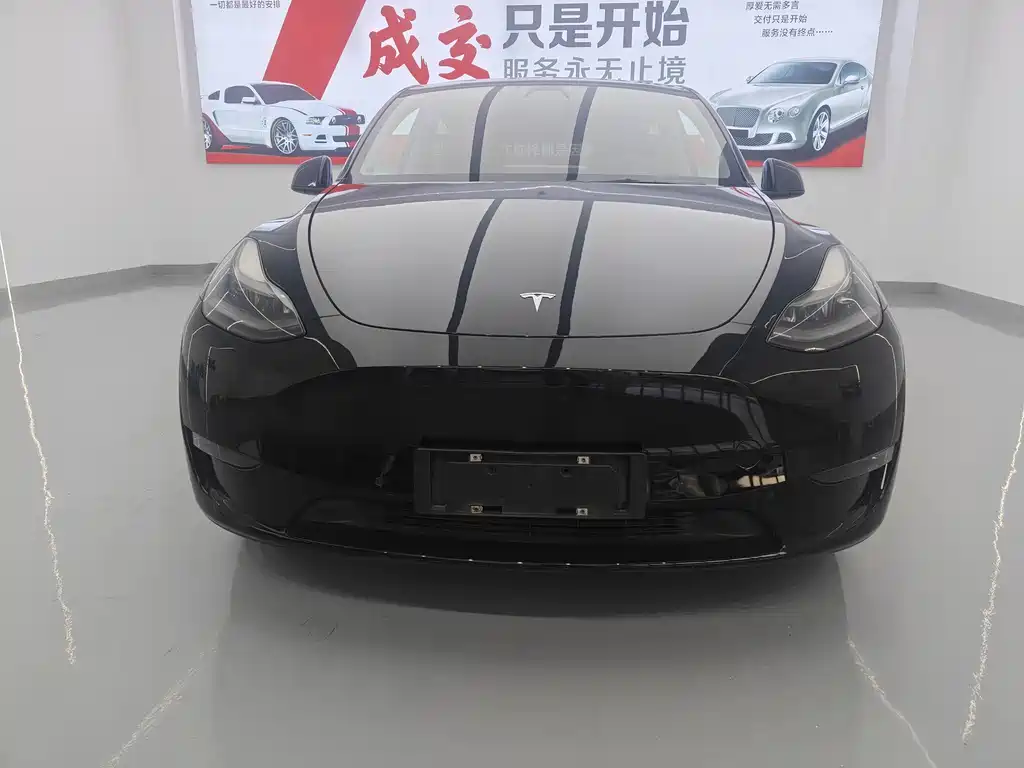 Tesla Model Y — миниатюра 2