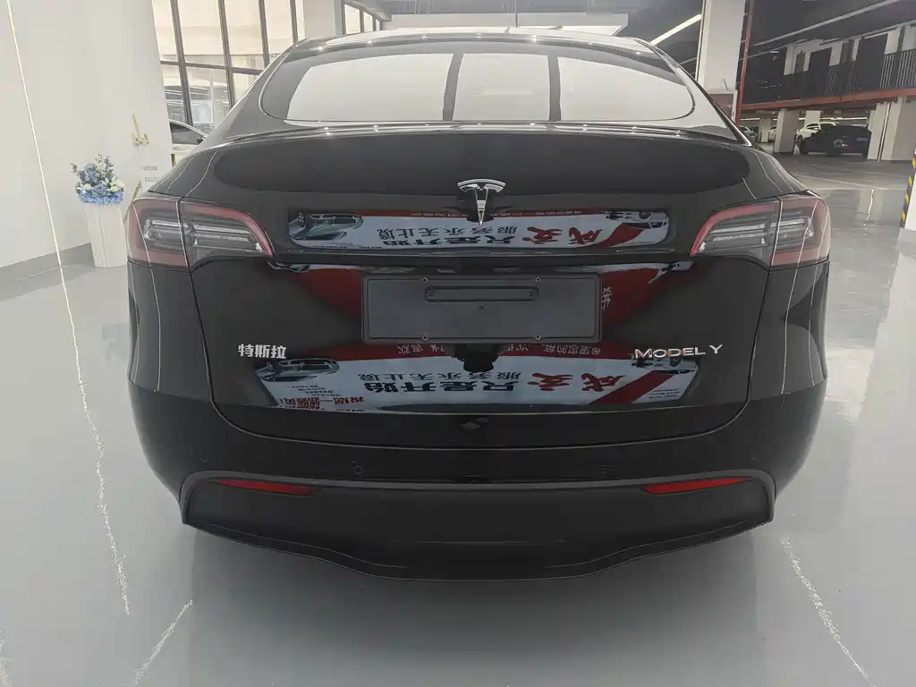 Tesla Model Y — миниатюра 13