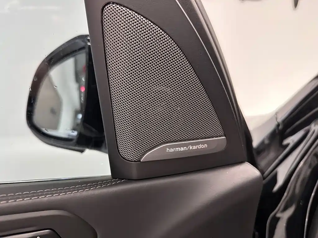 BMW X7 — миниатюра 13