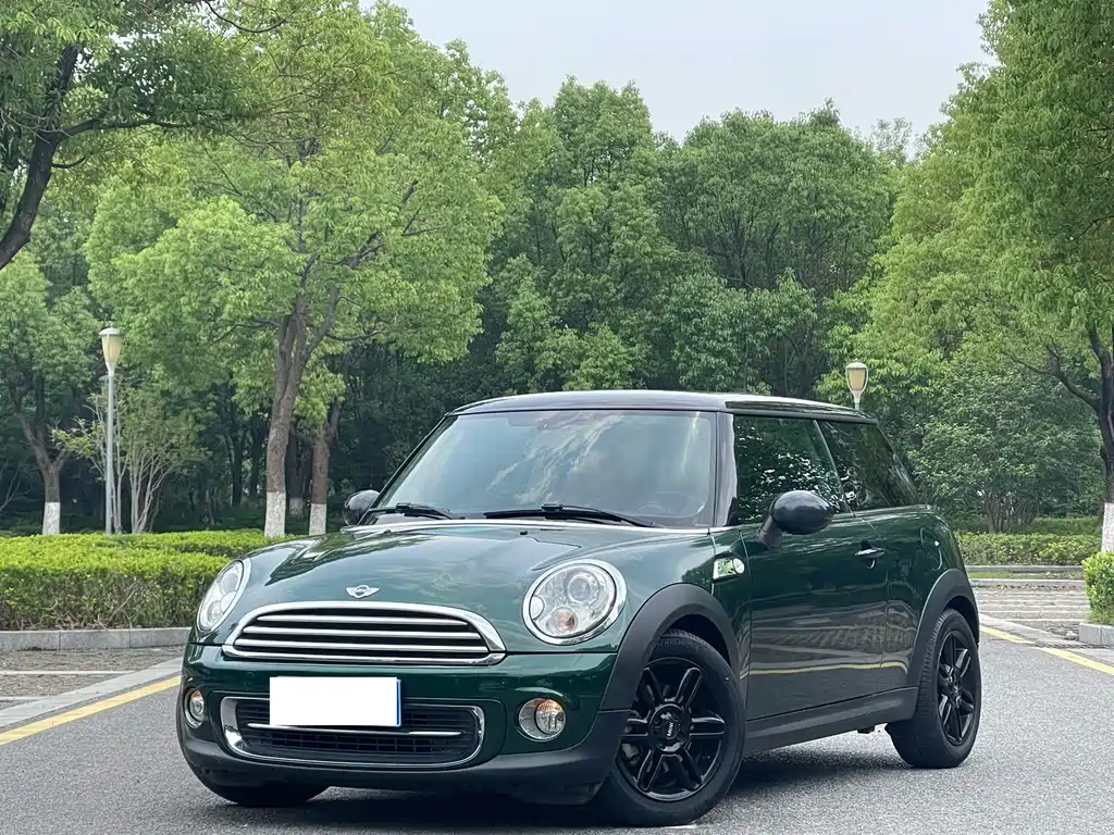 Mini Mini 2014