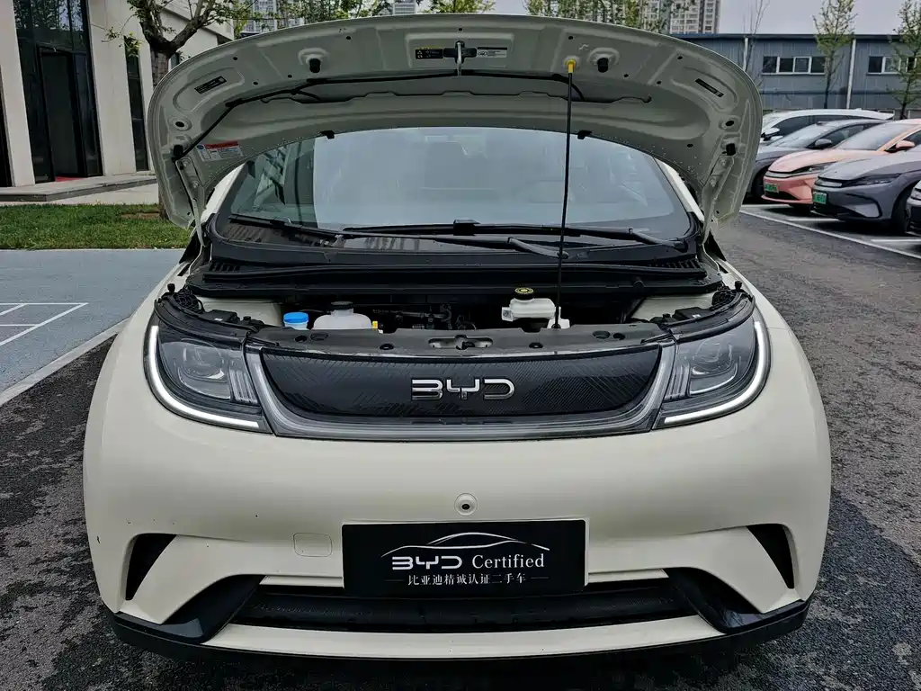 BYD Dolphin — миниатюра 3