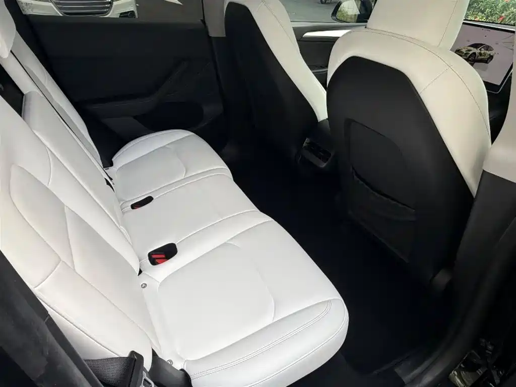Tesla Model Y — миниатюра 10