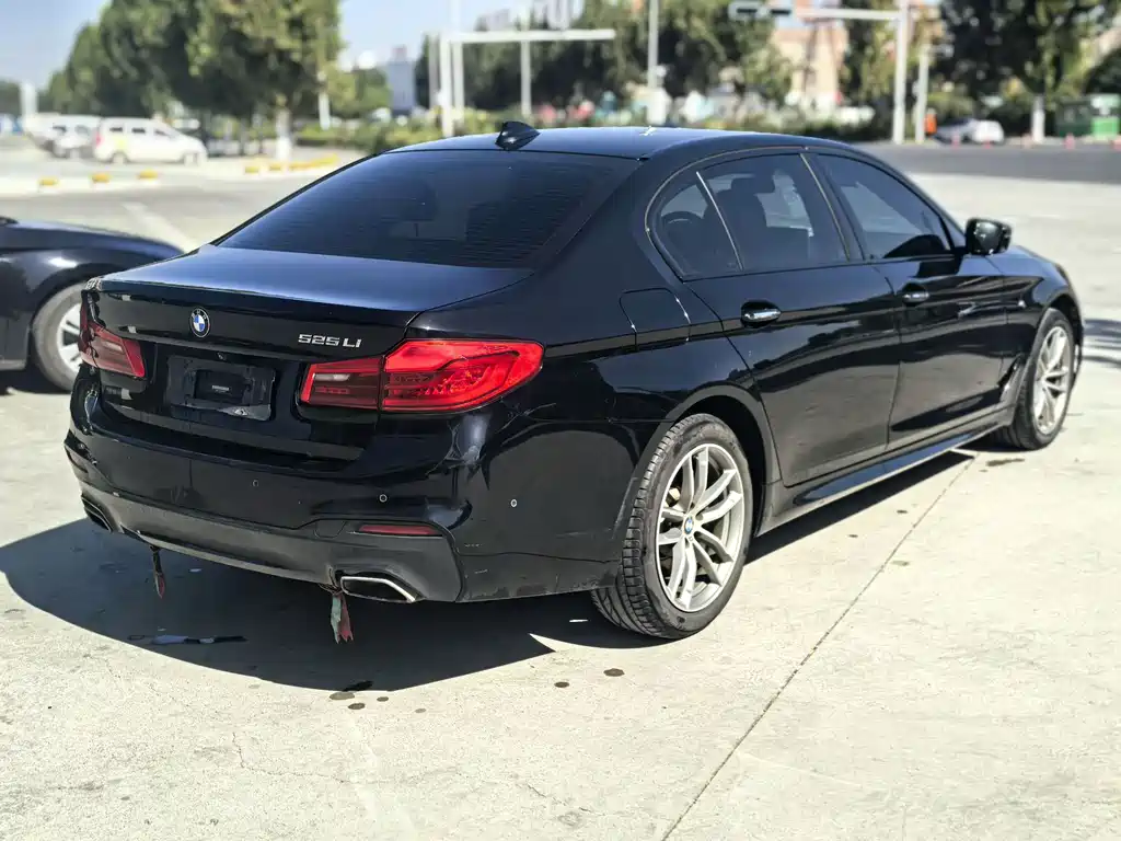BMW 5 Series — миниатюра 3