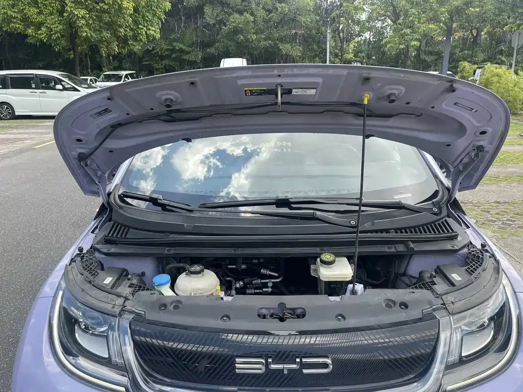 BYD Dolphin — миниатюра 10