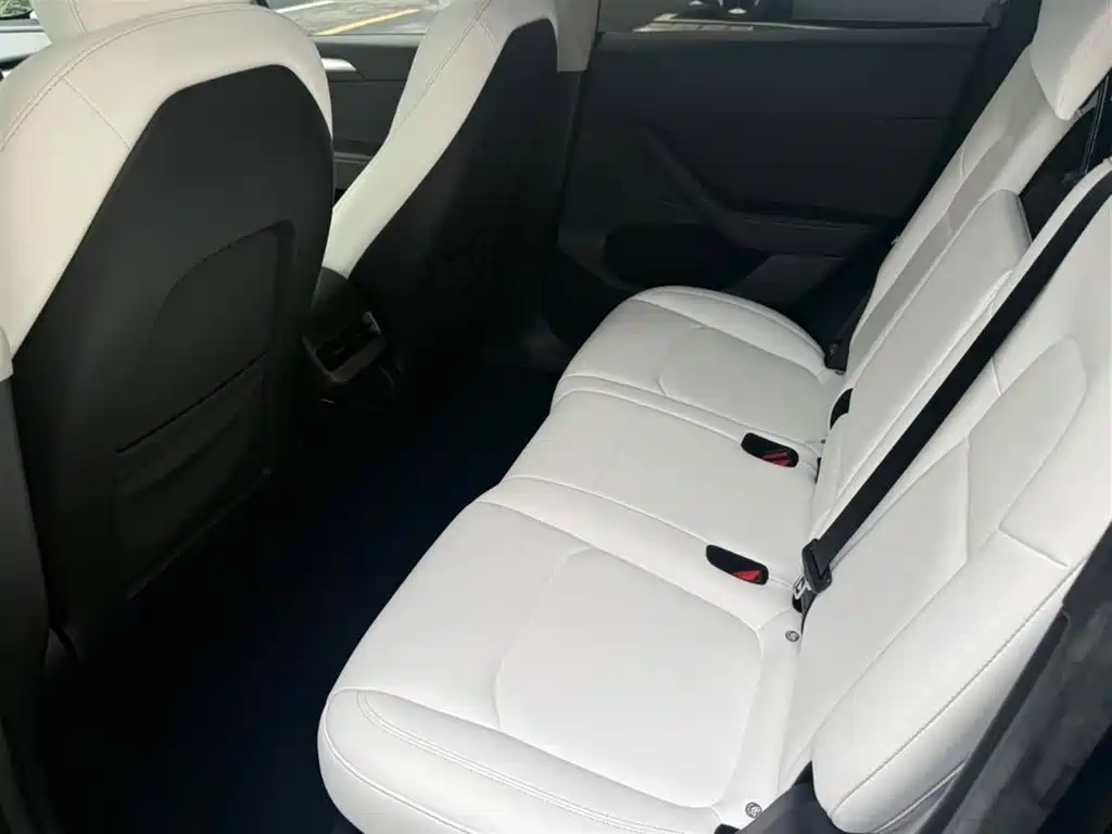 Tesla Model Y — миниатюра 5