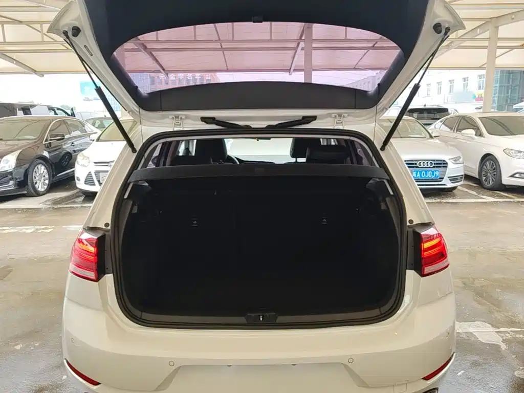 Volkswagen Golf — миниатюра 19