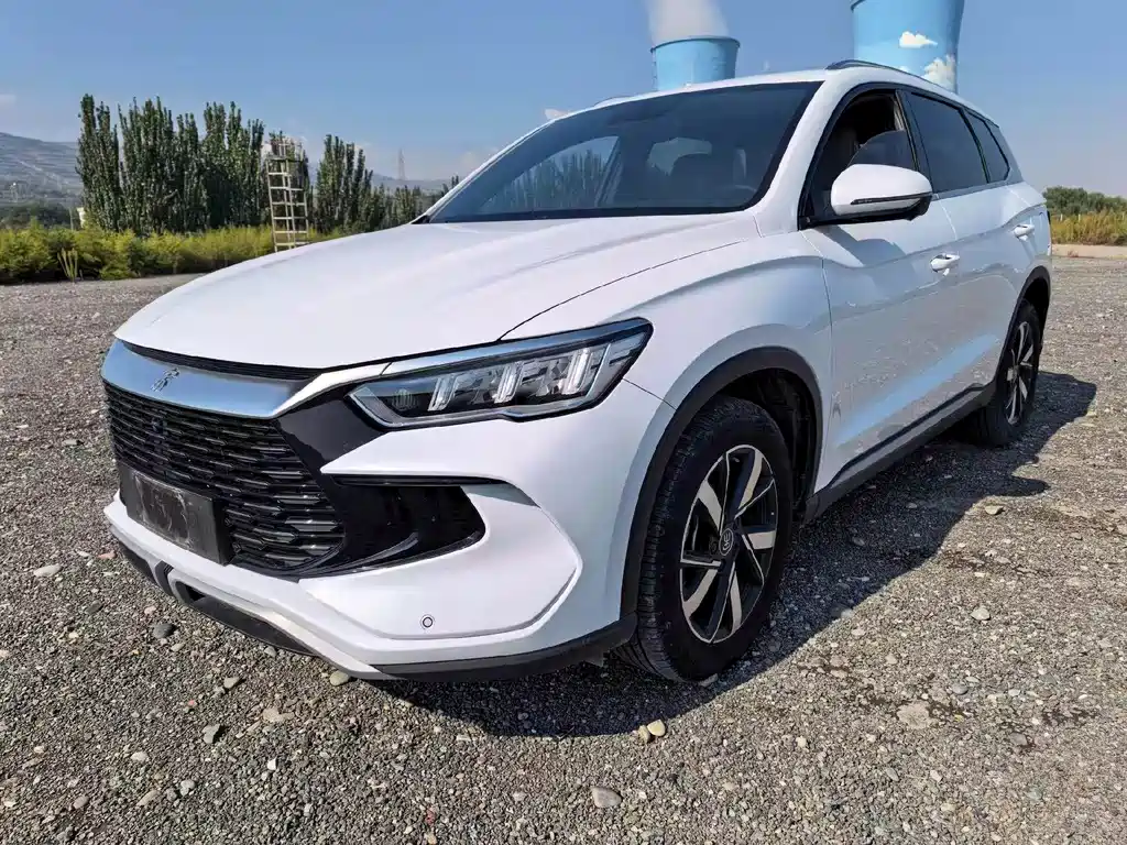 BYD Pro New Energy