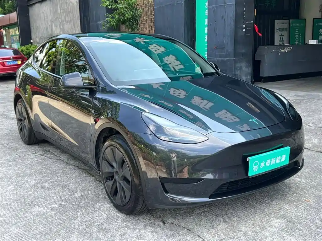 Tesla Model Y — миниатюра 14