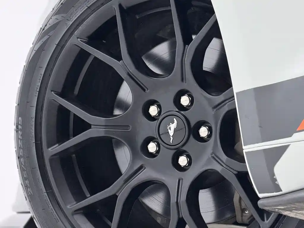 Ford Mustang — миниатюра 23