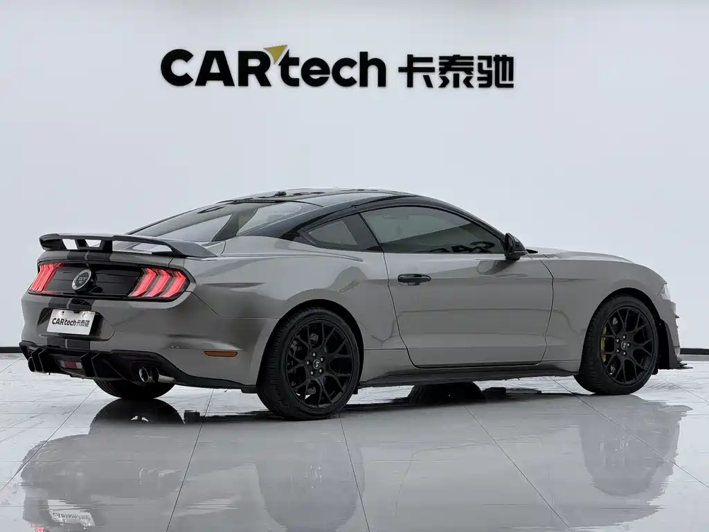 Ford Mustang — миниатюра 17