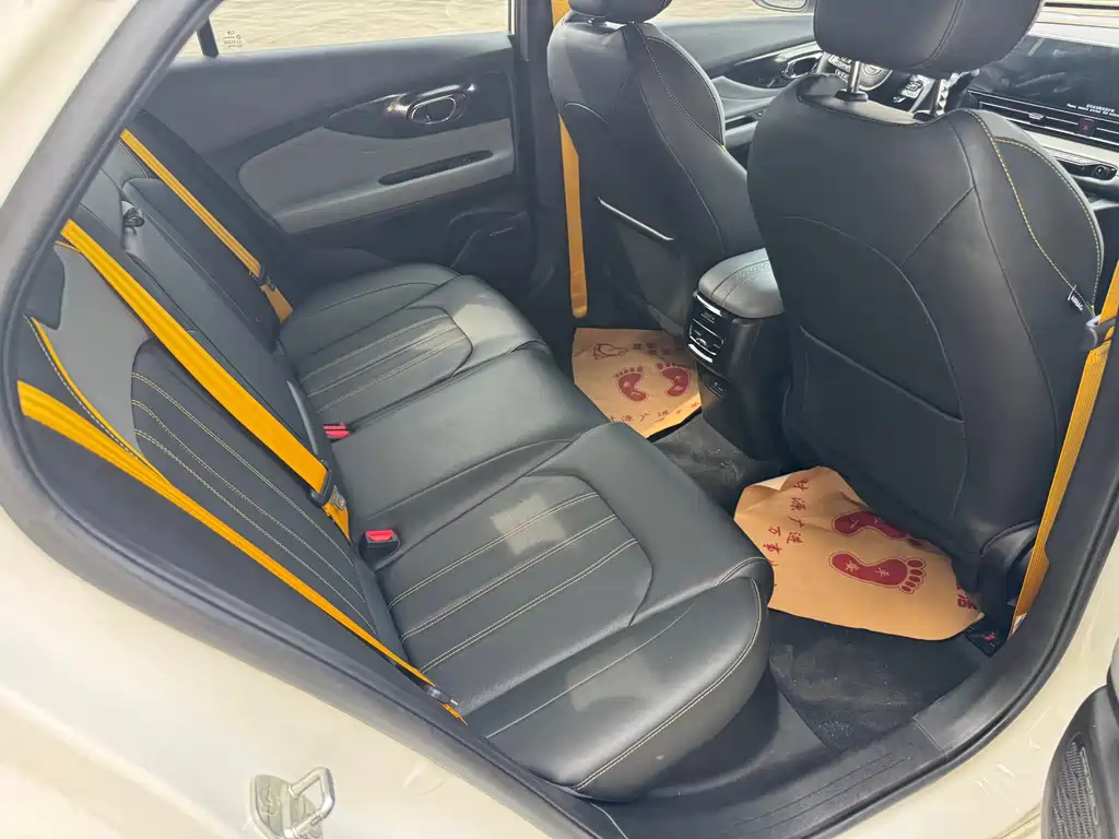GAC Motor Shadow Leopard — миниатюра 13