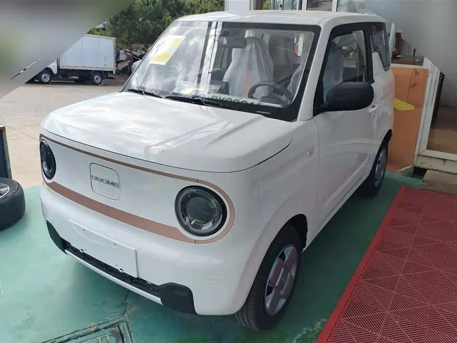 BYD Panda 2024 Panda mini 200km Endurance Bear