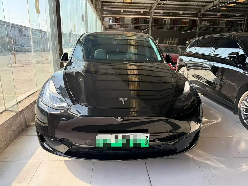 Tesla Model Y — миниатюра 2
