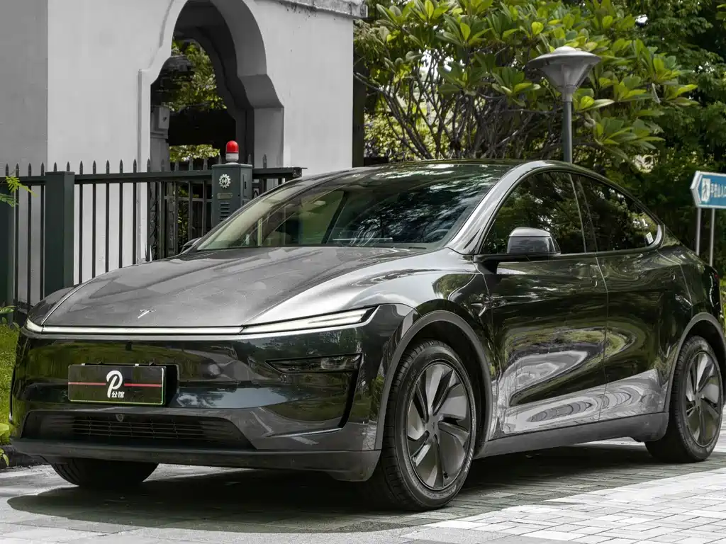 Tesla Model Y — миниатюра 3