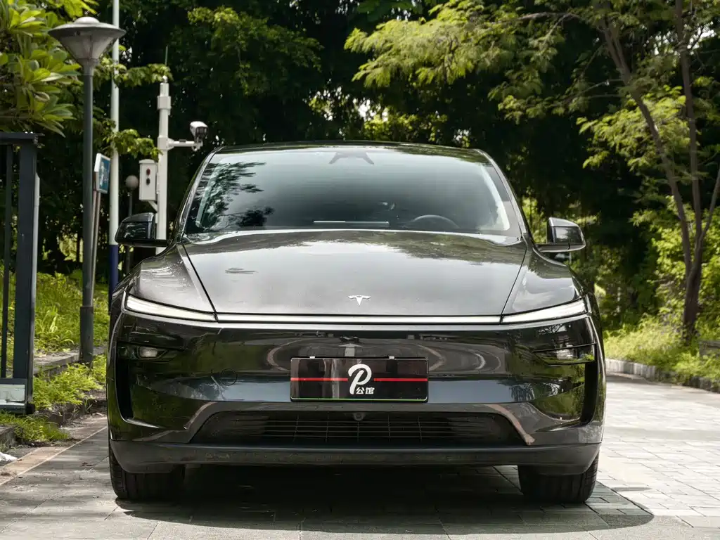 Tesla Model Y — миниатюра 2