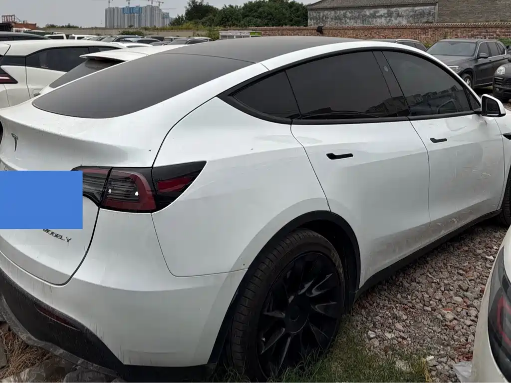 Tesla Model Y — миниатюра 7