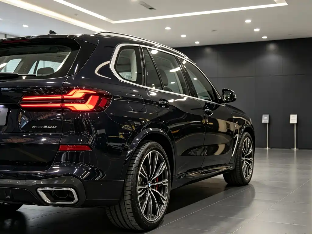 BMW X5 — миниатюра 8