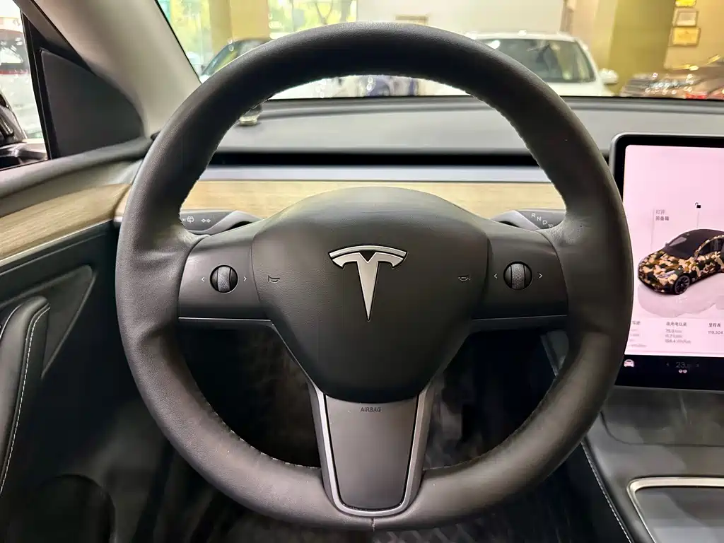 Tesla Model Y — миниатюра 13