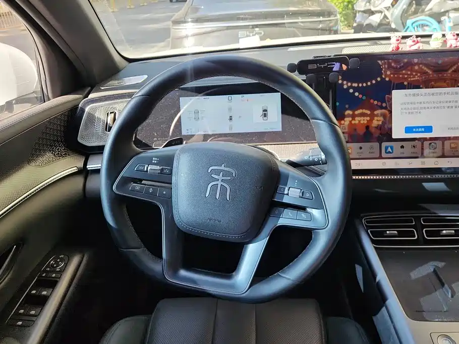 BYD Pro New Energy — миниатюра 15