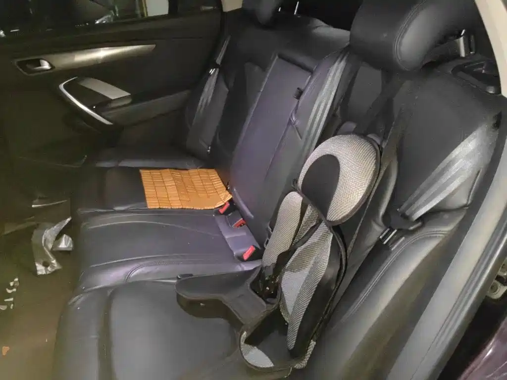 DS DS 5LS — миниатюра 18