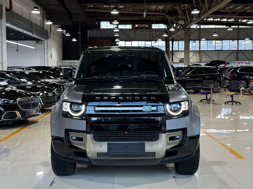 Land Rover Defender — миниатюра 2