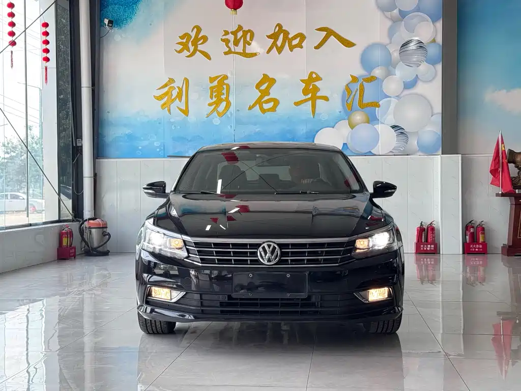 Volkswagen Passat — миниатюра 2